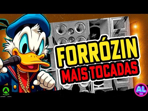 FORRÓZIN AS MAIS TOCADAS TIKTOK 2025 - PLAYLIST FORRÓZIN 1.0 - SELEÇÃO FORRÓZIN PRA PAREDÃO