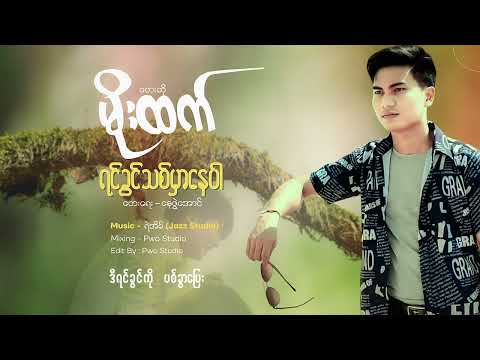 Myanmar Song / Yin Kwin Thit Mar Nay Par ; Vocal Moe Htet (Official Audio)