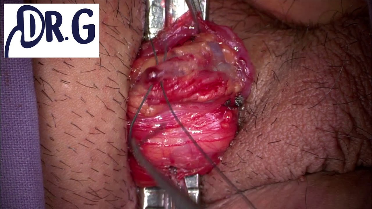 Francisco Gómez Regalado-10