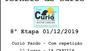 Curió La Capila - 1º lugar com repetição
