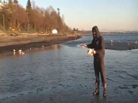 Z95.3 Gold Digger - All About That Cash!