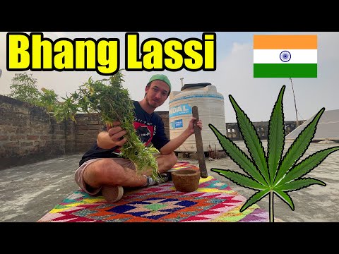 German Trying Bhang Lassi in Haryana🇮🇳