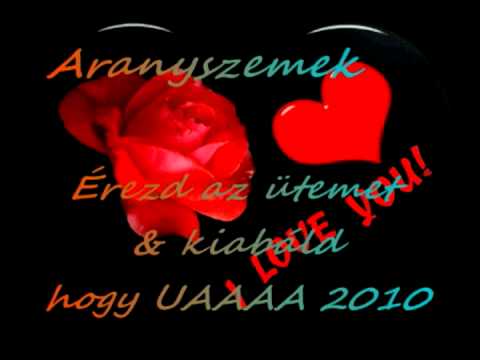 Mr Bódi gy  Aranyszemek - érezd az ütemet....flv