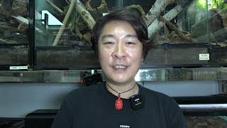 《Bowie的思想空間》靈性修行中的反叛