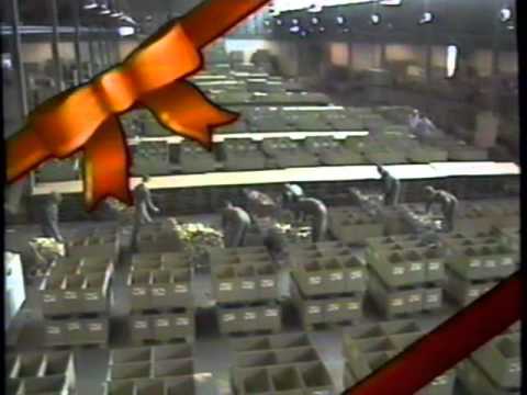 1987 Christmas Commercials Vol. 1