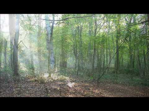 Delius: On Hearing the First Cuckoo in Spring