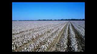 ALABAMA: Song of the south