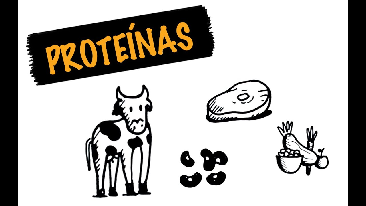 Proteína Animal é Melhor que Vegetal? | autoridadefitness.com