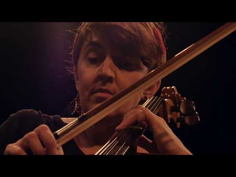 Mes Non Nuits - Tocade !