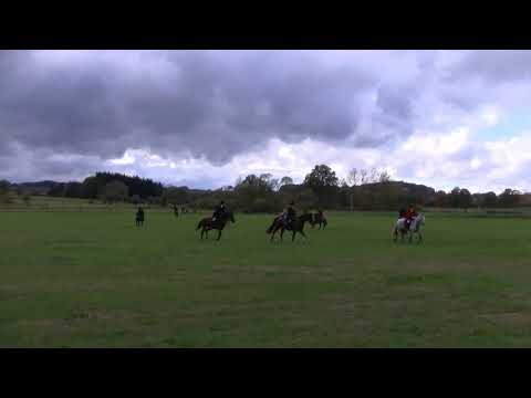 Parforsní hon_foxhunting_Schleppjagd_MARTINICE-DRAHENICE_10