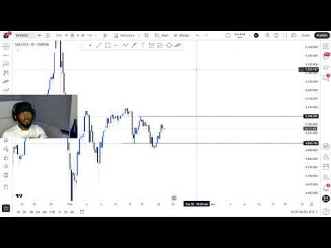 How to Trade for Dummies ( Full Live Stream )