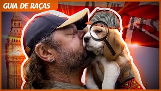 Miniatura do vídeo