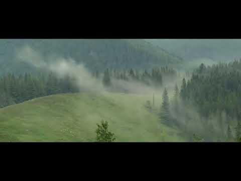 Mysliwka — Wideo