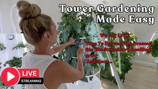 📱 Tower Gardening Made Easy LIVE CAM #towergarden #hydroponicgardening #garden #farm #aeroponic