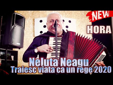 Neluta Neagu ❌ Traiesc viata ca un rege 2020 (HORA NOUA) ☆☆☆☆☆☆☆