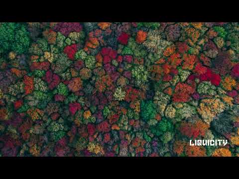 Alpha Rhythm - Oh The Places You'll See