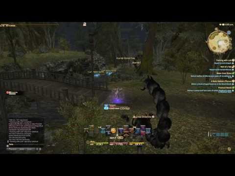 Archer Class Quest - Level 10