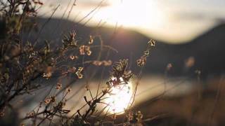 Somethings Coming by Yes