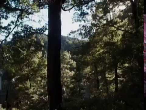 Making of completo | Senhor dos anéis: A sociedade do anel - Extras Legendado