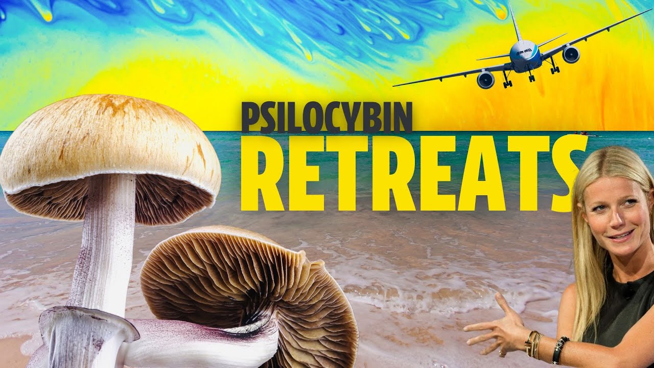 Why Everyone's Doing Magic Mushrooms In Jamaica (Psilocybin Retreats)