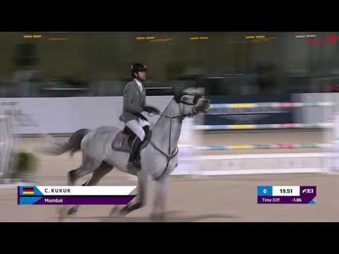 Mumbai - BWP Belgian Warmblood 2012 by DIAMANT DE SEMILLY