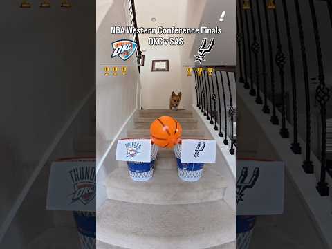 #AirCorgi makes predictions for the #Spurs-#Thunder Western Conference Finals showdown 🍿#playoffs