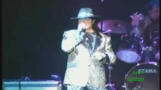 LOS FELINOS     '' La Mula Bronca ''