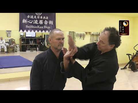 Breaklocks: Wrist Grip-normal, BONUS Wrist Takedown – Shihan Robert Cusumano