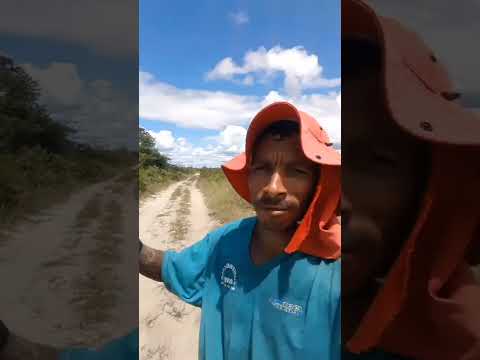 Carinhanha Bahia visitei #vidanaroça