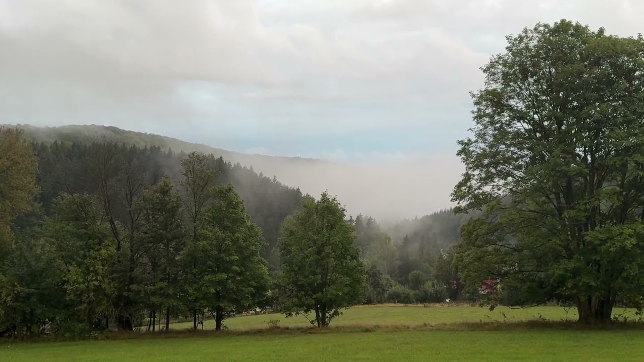 Ein Atemholen der Natur nach dem reinigenden Sommergewitter