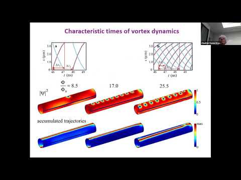 Topology- and Geometry-Controlled Functionalization of Nanostructured Metamaterials I