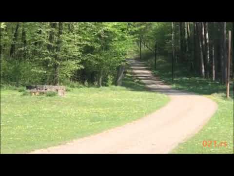 Fruška gora kada nema ljudi - 13.04.2020-021.rs