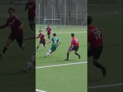 FSV Babelsberg 74 - SVFF U19 | Highlights