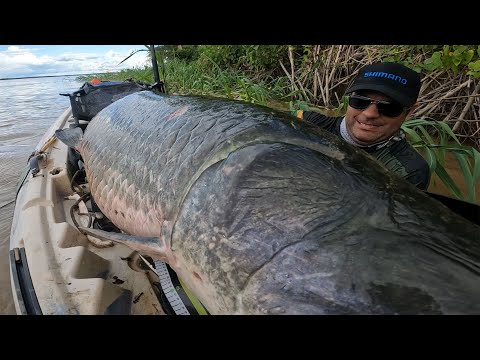 , title : 'GIGANTE COBRIU O CAIAQUE, MESMO VENDO NÃO DA PRA ACREDITAR! Pirarucu do Rio Madeira.'