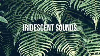 Don Meeno Feat Jimmy Johnson - Front Runners