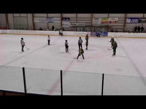 Ilves Vihreä - Jääkobrat