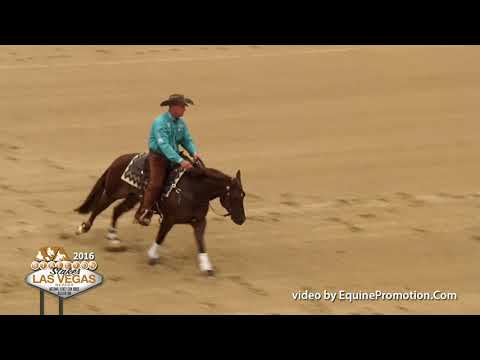 SJR Diamond Rey shown by Corey Cushing - 2016 Stallion Stakes (Rein Prelim)