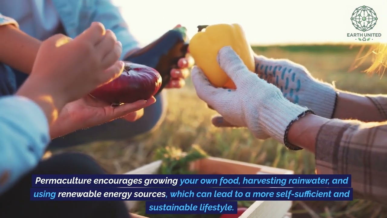 Permaculture in Sustainable Living