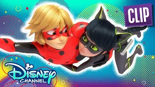 Ladybug and Cat Noir Switch! | Passion | Miraculous: Tales of Ladybug and Cat Noir | @Disney Channel
