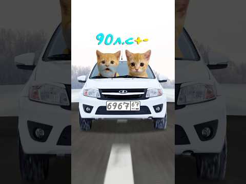 Киса покупает Лада Гранта🙀 Кисы объясняют #shorts