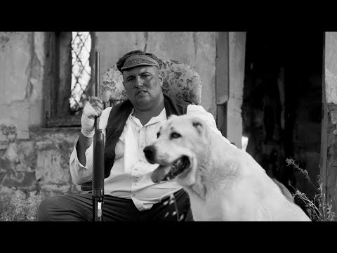 MIDAS ALONSO - TRIGO SUCIO (PROD.DELSON ARAVENA)