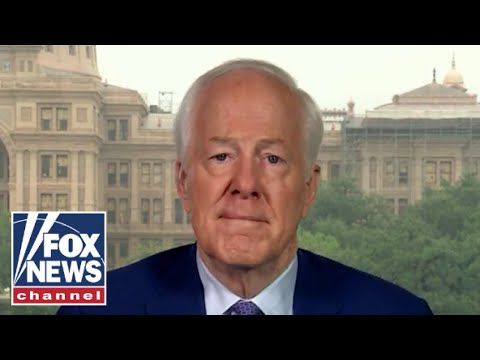 'TEXANS ARE TOUGH': GOP senator talks resiliency amid deadly flooding