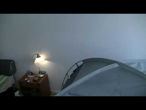 MongoTV_3736 - Mongo Games - American Truck Simulator - Part 177 - Wood Transport