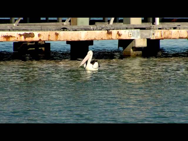 WaterWays Conveyancing - Mandurah, WA