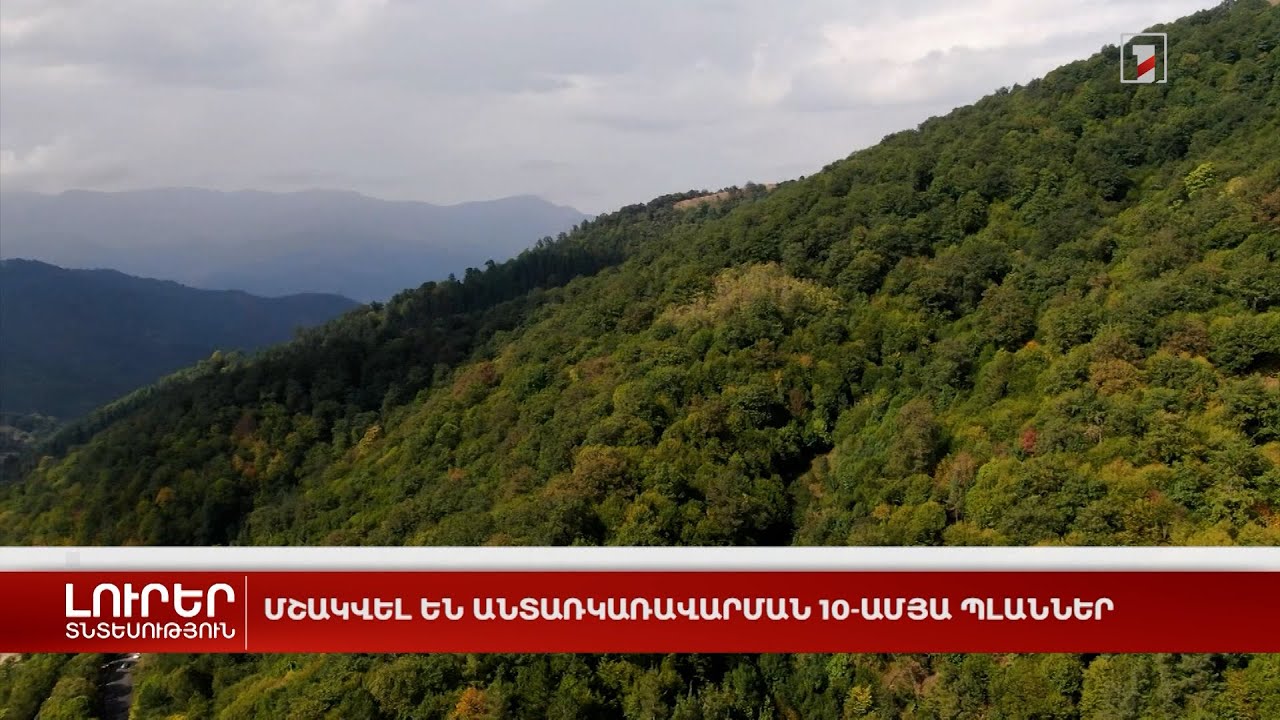 Մշակվել են անտառկառավարման 10-ամյա պլաններ