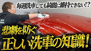 実は大事な洗車のタイミング！愛車を綺麗に保つ洗車頻度をプロが教えます【虫汚れ・鳥フン・黄砂・花粉・水垢を放置すると危険】