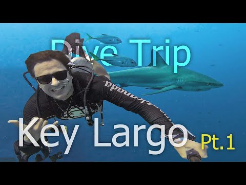 Key Largo Dive Trip | Florida, USA | Part 1 of 2 | Scuba Diving the Florida Keys