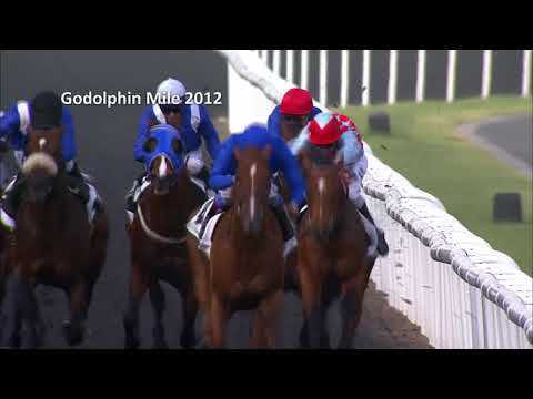 DUBAI WORLD CUP 2014 - AFRICAN STORY