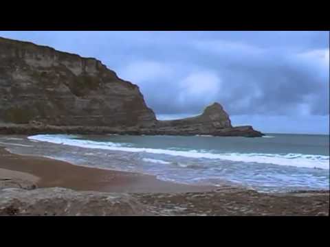 Selma Reis - Espuma y Arena