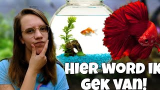 Mijn 5 Grootste IRRITATIES aan de AQUARIUMHOBBY?! //Nickey//
